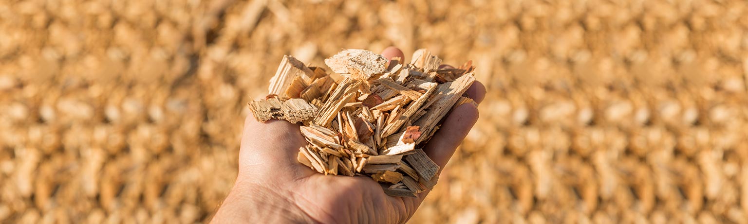 Nachhaltige Robeta Hackschnitzel aus Holz – umweltfreundliche Heizlösung